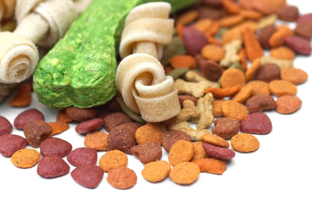 Pet food production - Different types of dog food isolated