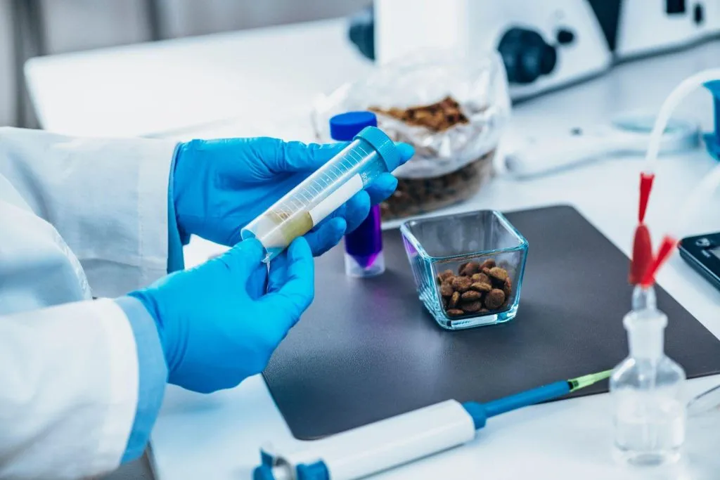 Dry Pet Food Production