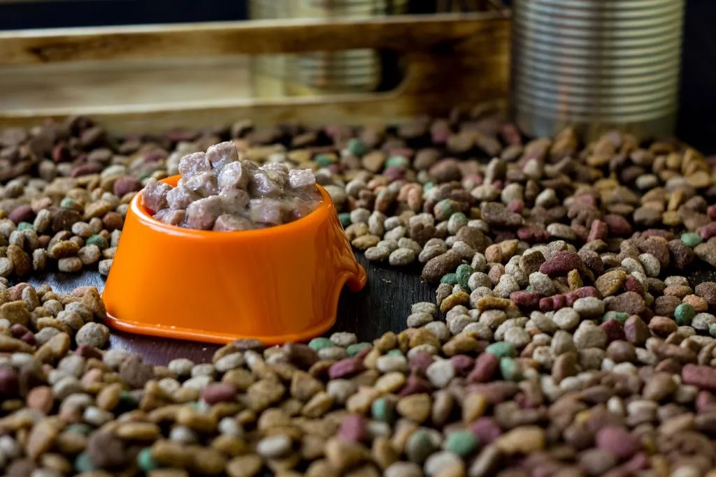 dry and wet pet food production